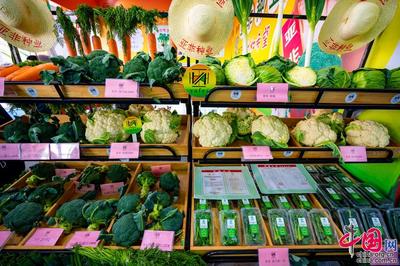 種業(yè)振興，改變世界 第二十九屆中國北京種業(yè)大會特色產(chǎn)品璀璨亮相